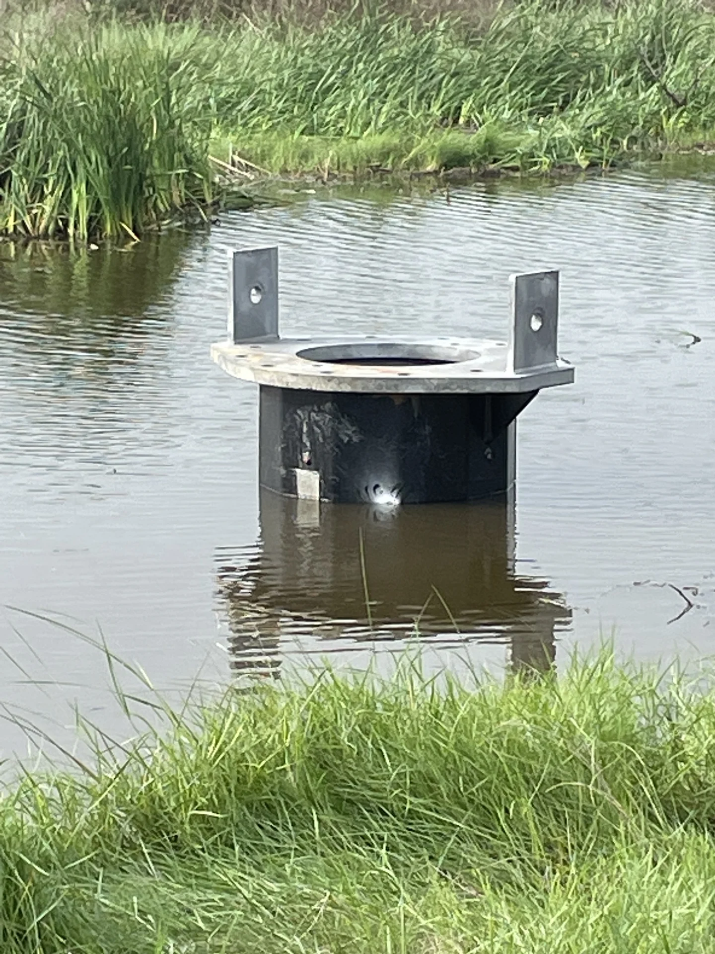 Marsh foundations and transmission structures · Cameron Parish, Louisiana